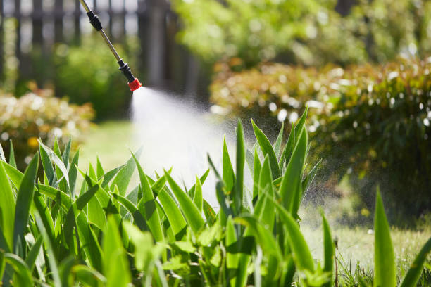 24/7 Emergency Termite Control experts in Valentine, NE