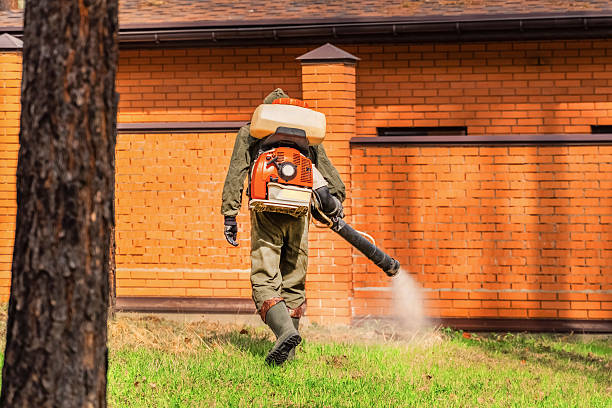 Trusted Emergency Pest Control service in Valentine, NE - Nex Pest Control